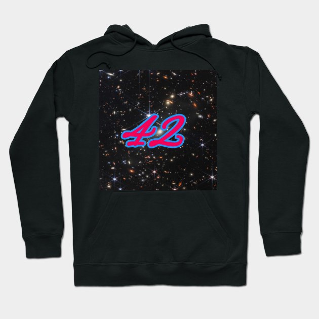 The Answer is 42 Hoodie by DocsDesigns76